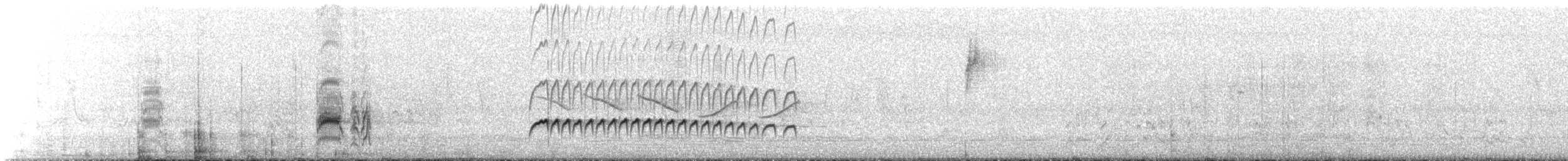 Nutting's/Salvadoran Flycatcher - ML624137813