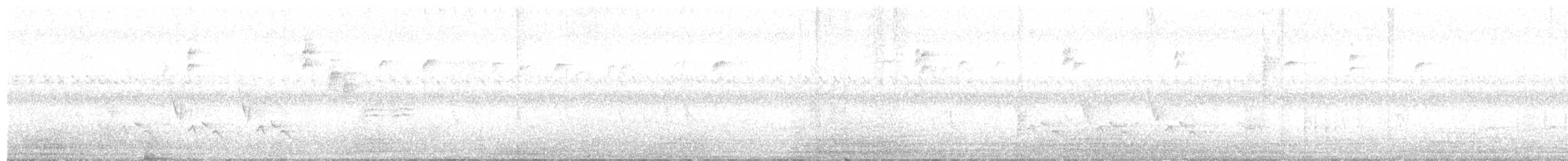 Carolina Wren - ML624142444