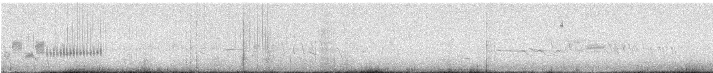 Bruant de Brewer - ML62415071