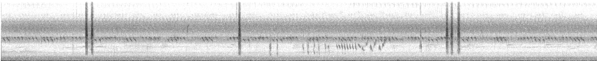 Troglodyte familier - ML624153586