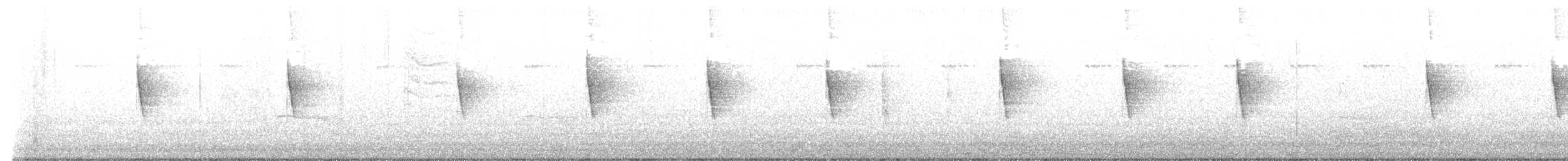 チャカブリアメリカムシクイ - ML624158089