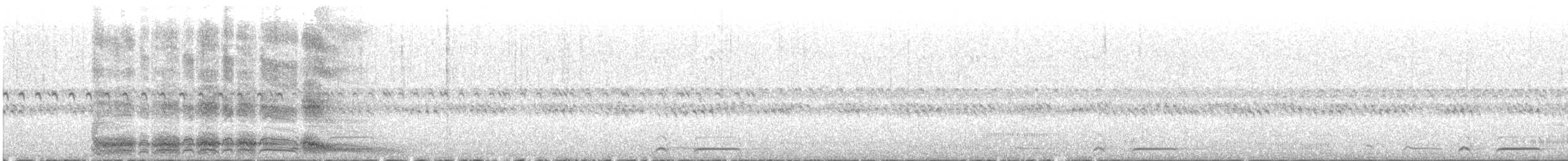 Townsend's Shearwater - ML624158345