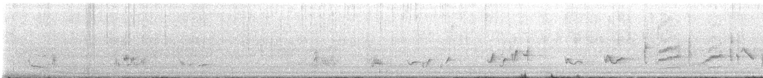 Northern Mockingbird - ML624163878