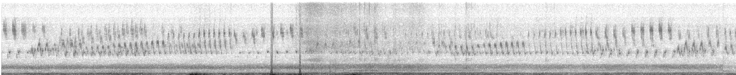 Pampas Pipit - ML624164286