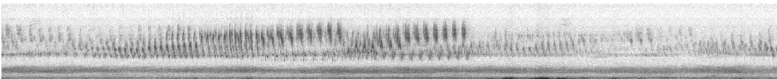 Pampas Pipit - ML624166114