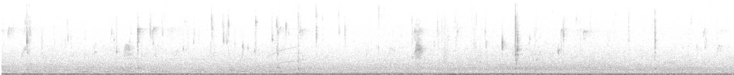 papežík americký - ML624169577