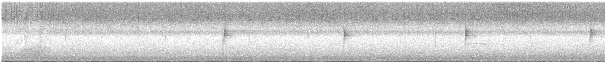 Northern Waterthrush - ML624176515