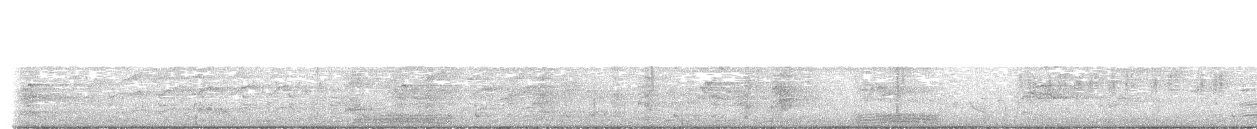 Royal Spoonbill - ML624179611