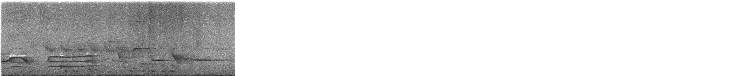 New Zealand Pigeon - ML624179902