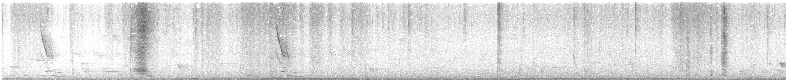 New Zealand Bellbird - ML624180057