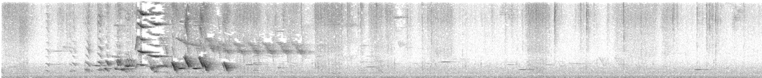 New Zealand Bellbird - ML624180067