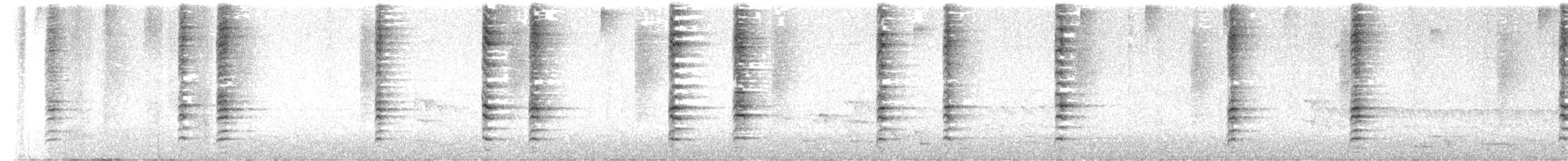 New Zealand Bellbird - ML624180068