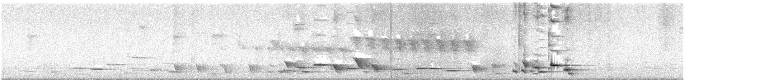 New Zealand Bellbird - ML624180686