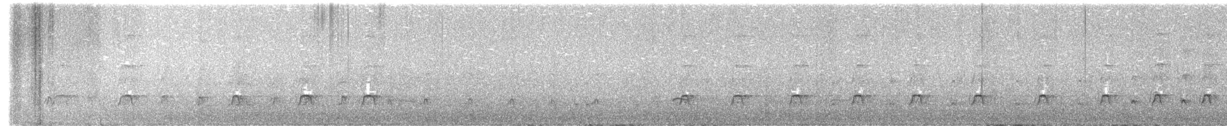 Variable Oystercatcher - ML624180751