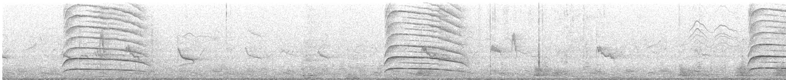 Dominohabicht - ML624181990