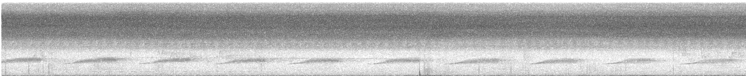 Sahul Cicadabird - ML624183211