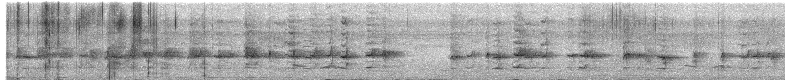 ホオジロヒヨドリ - ML624183826