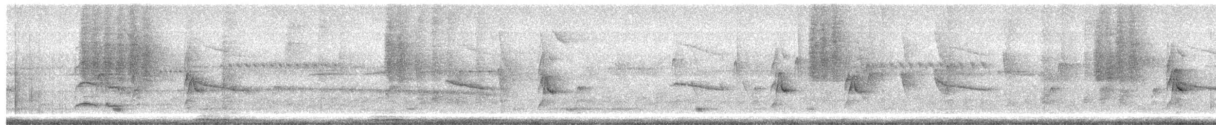 ムジヒメアリサザイ - ML624185621