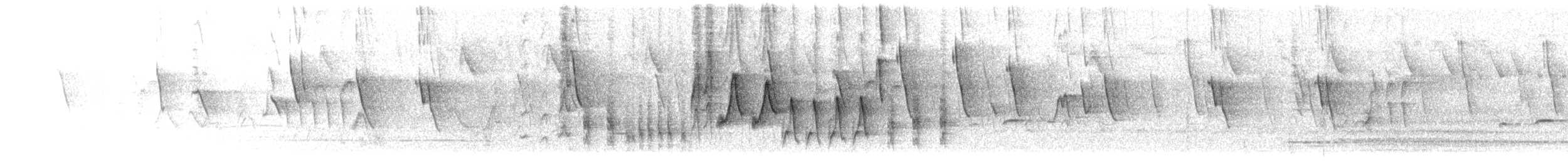 Troglodyte familier (groupe musculus) - ML624188256