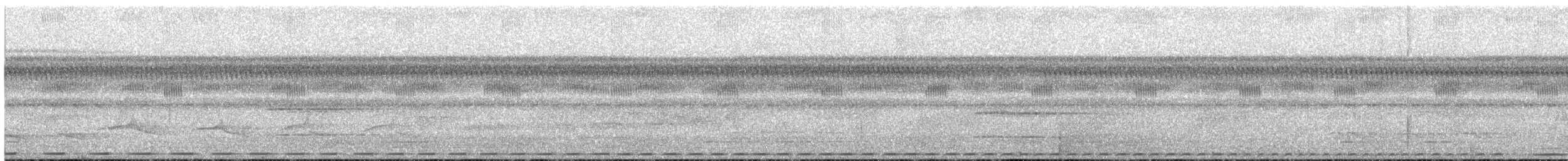 Striated Antthrush - ML624188548