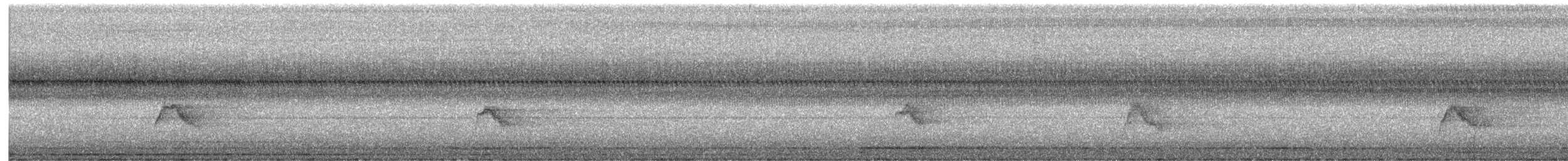Gray-cheeked Thrush - ML624189284