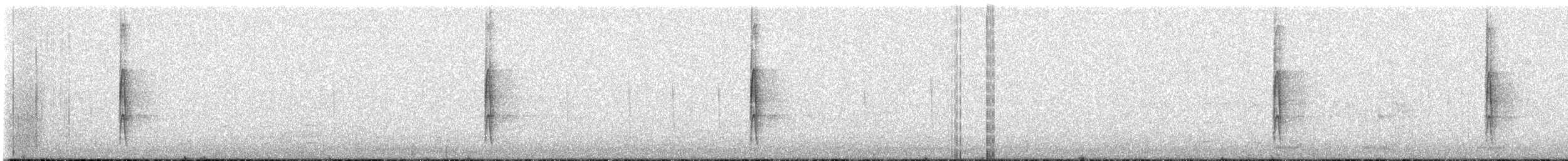 Ladder-backed Woodpecker - ML624190315
