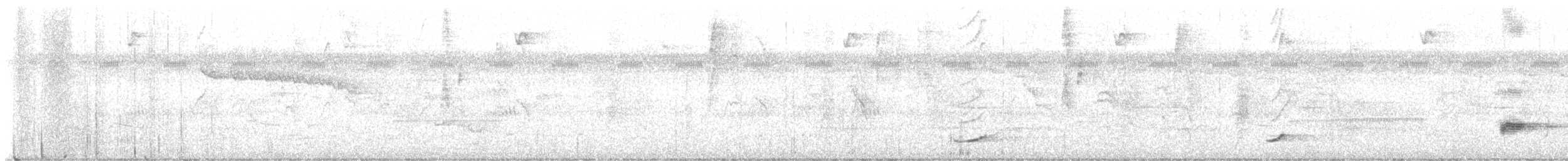 Black-striped Sparrow - ML624195043