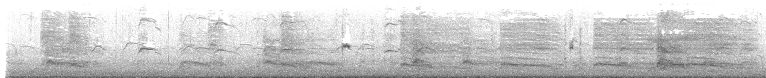 Hartlaub's Gull - ML624195978