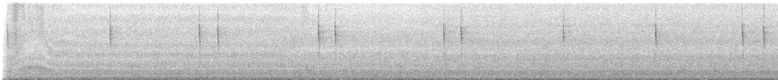 Pacific Wren - ML624206567