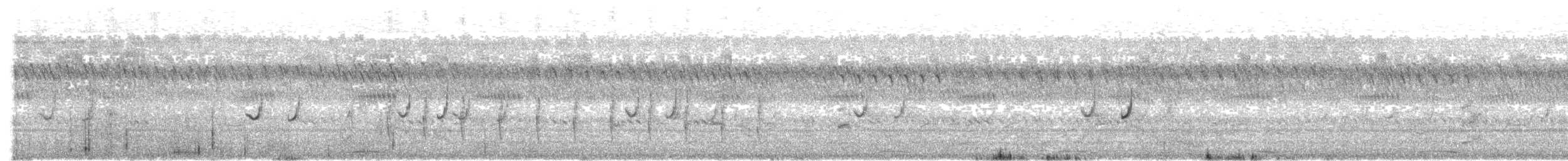 Codorniz Coromandélica - ML624217024