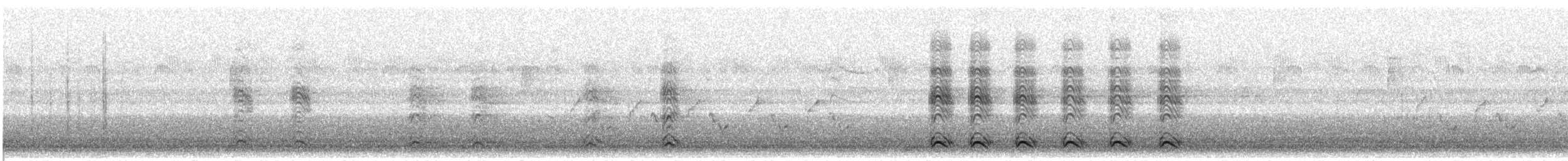 American Crow - ML624217326