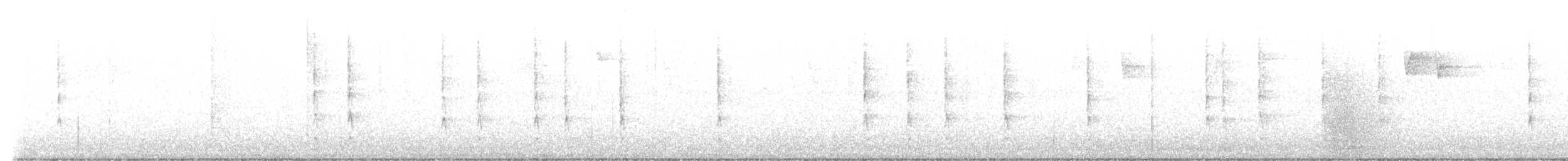 フユミソサザイ - ML624219958