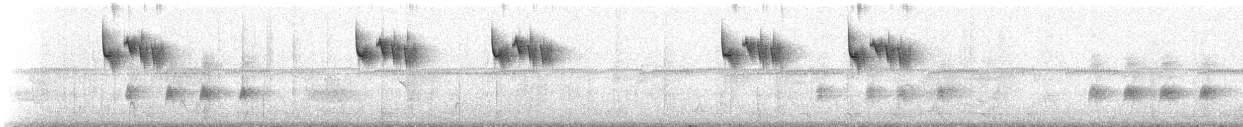 White-chinned Sapphire - ML624225136