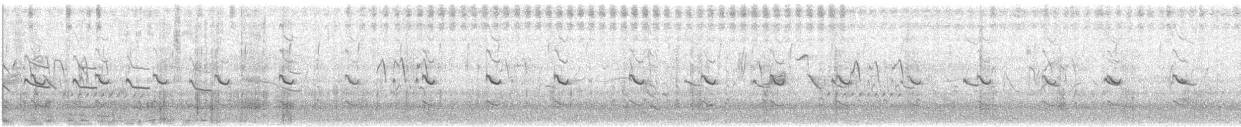 Troglodyte de Bewick - ML624227992