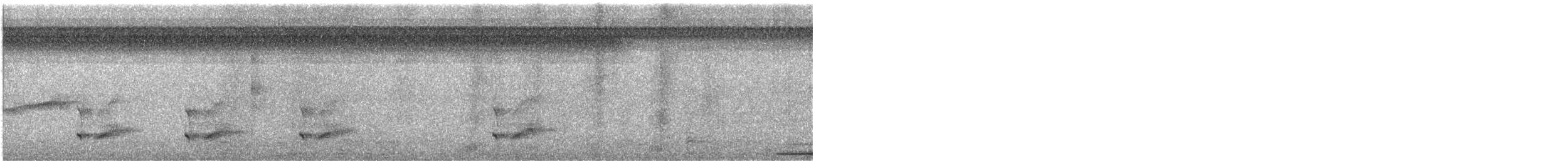 Snow-capped Manakin - ML624230154