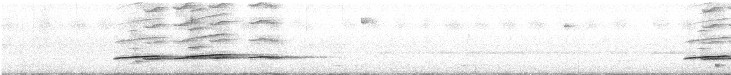 Striped Cuckoo - ML624230610