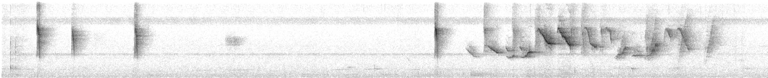 Golden-crowned Warbler (White-bellied) - ML624231020