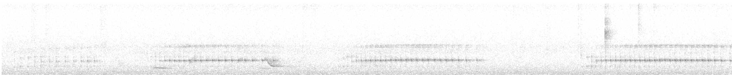 Snethlage's Tody-Tyrant - ML624234501