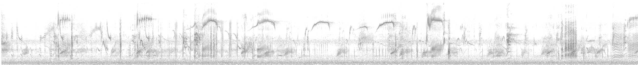 Хар тодол - ML624234991