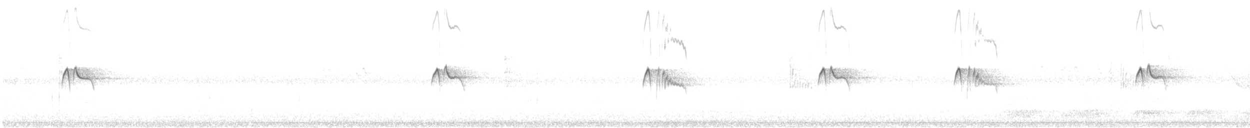 Black Phoebe - ML624235011