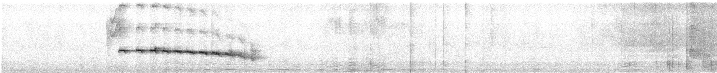 Chestnut-tailed Antbird (pallens) - ML624235118