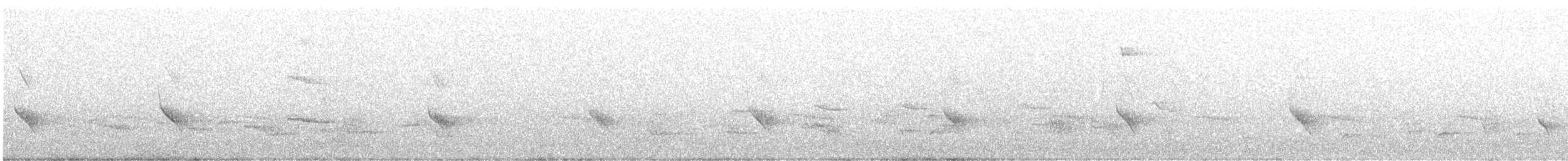 Osprey (American) - ML624235302