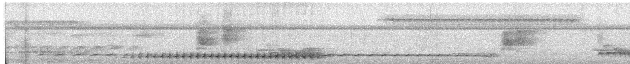 Amazonian Antshrike - ML624236340