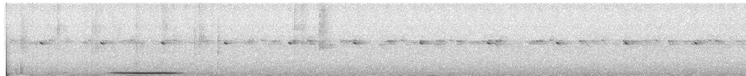 White-tipped Dove - ML624236520