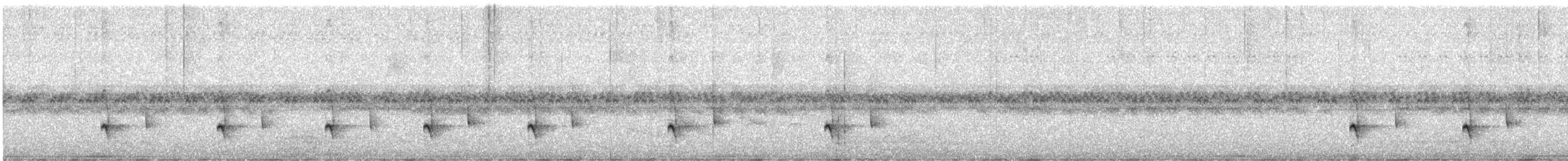 Marsh Antwren (Sao Paulo) - ML624236812