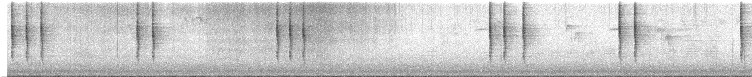 Pacific Wren - ML624244384