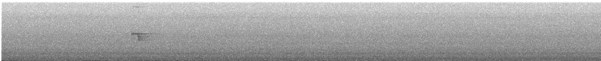 Coleto - ML624248605
