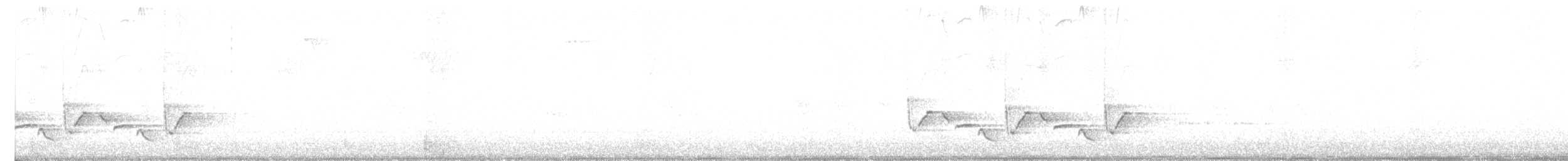 Carolina Wren - ML624252023