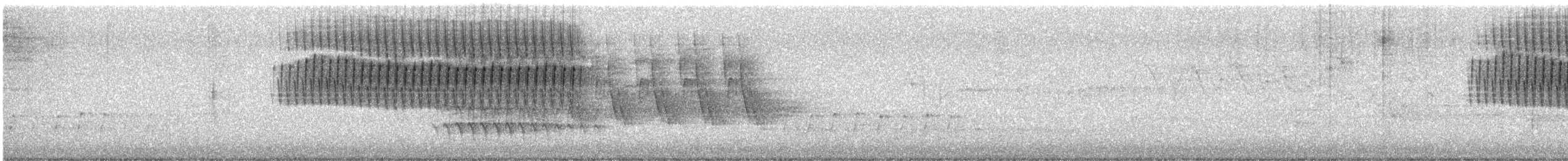 Карнатка білоброва - ML624252851