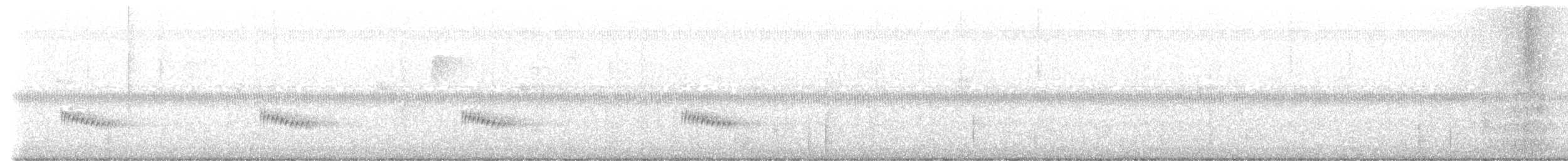 Carolina Wren - ML624258184